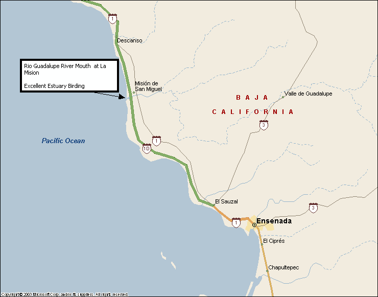 Rio Guadalupe River Mouth 